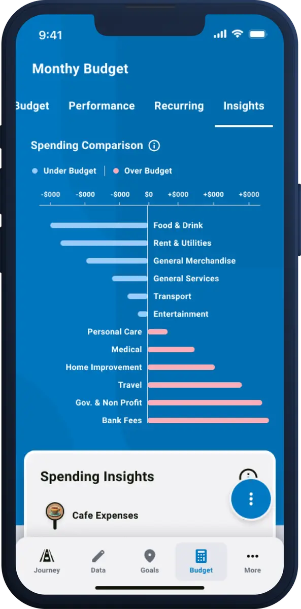 Monthly Budget insights tab comparing each spending category against budget, showing which are under and which are over